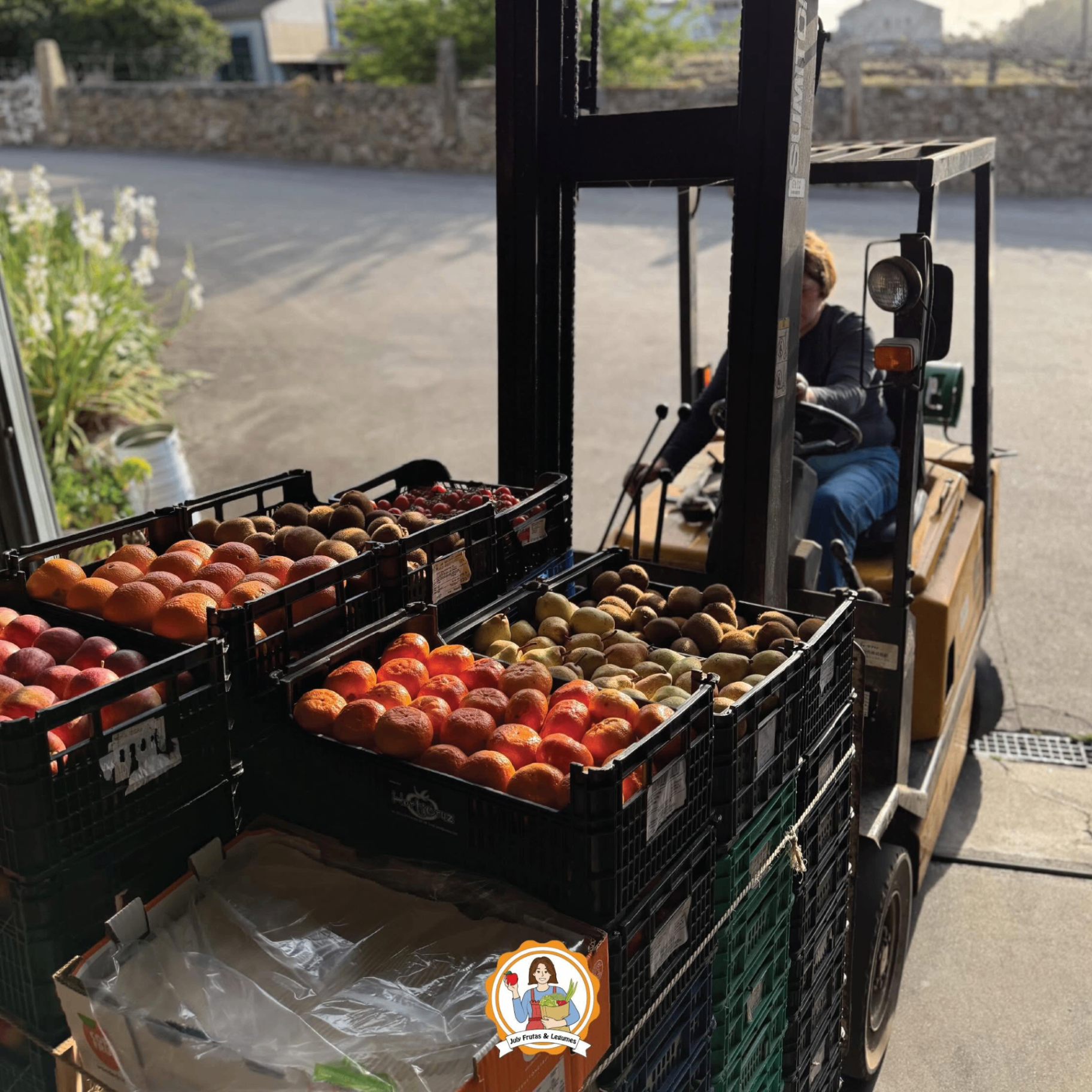 Entrega de fruta e legumes frescos da July